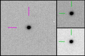 consistent_subject1295839