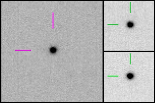 consistent_subject1295853