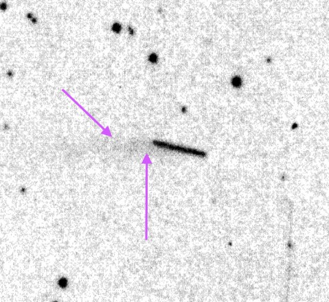 f02513dc-bf36-49ec-9fbe-cba7f417fa3a